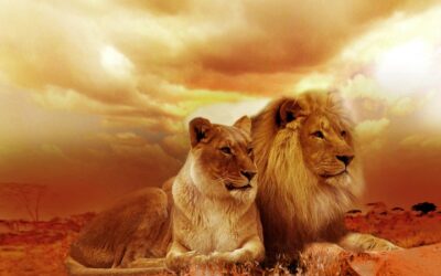 The Infinite Power Within: Embracing Your True Potential